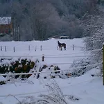 Le Renard'or 3*
