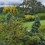 Bed & Breakfast Le Renard'or 3*