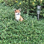 Le Renard'or 3*