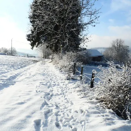 Bed & Breakfast Le Renard'or