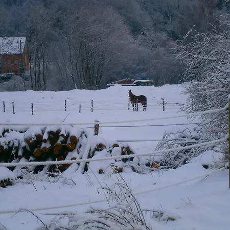 Le Renard'or 3*