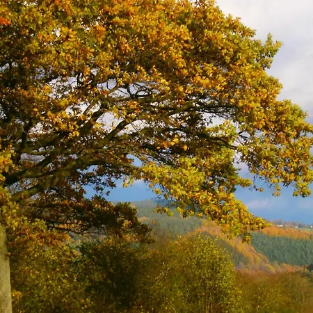 Bed & Breakfast Le Renard'or 3*