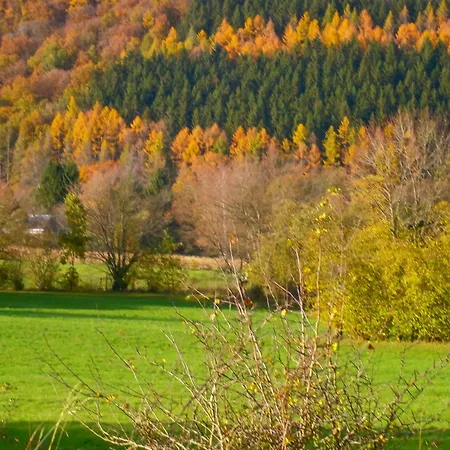 Bed & Breakfast Le Renard'or Trois-Ponts