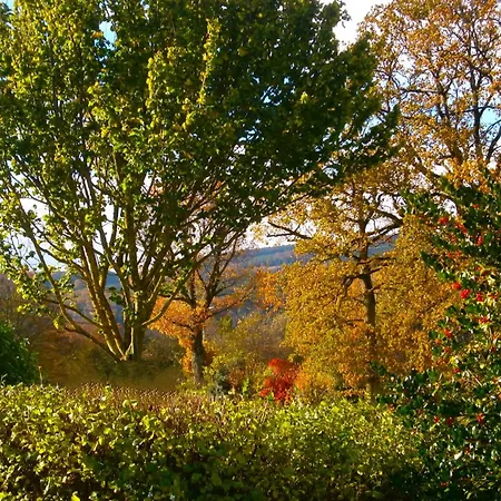 Le Renard'or Bed & Breakfast Trois-Ponts