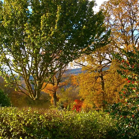Le Renard'or Bed & Breakfast Trois-Ponts