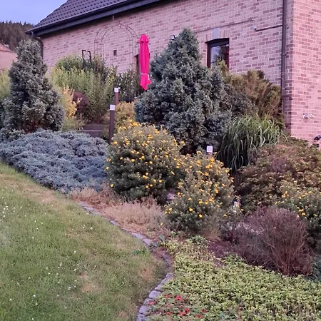 Le Renard'or Bed & Breakfast