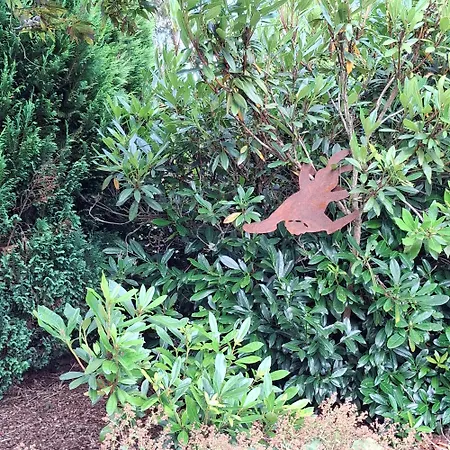 Bed & Breakfast Le Renard'or