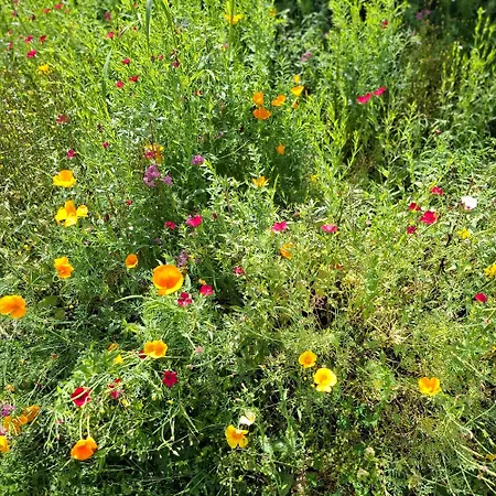 Bed & Breakfast Le Renard'or Trois-Ponts