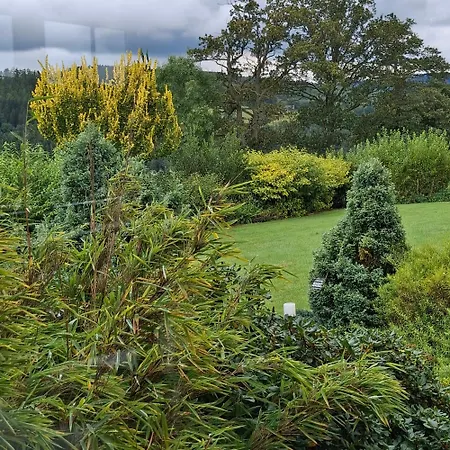 Bed & Breakfast Le Renard'or 3*