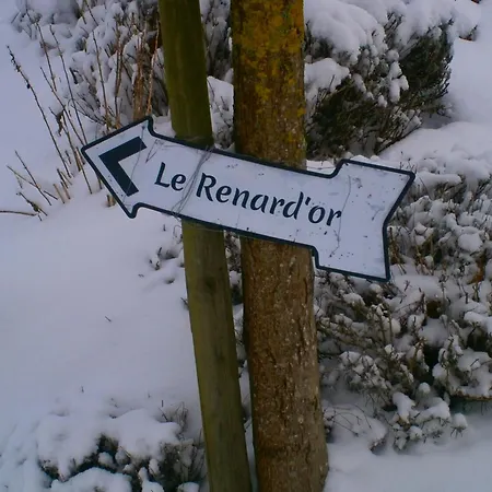 Bed & Breakfast Le Renard'or 3*
