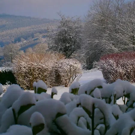 Bed & Breakfast Le Renard'or